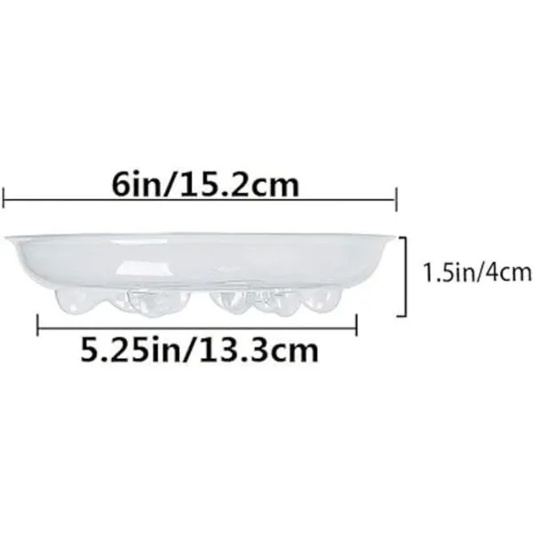 Idyllize Base de plástico transparente para plantas 5_2