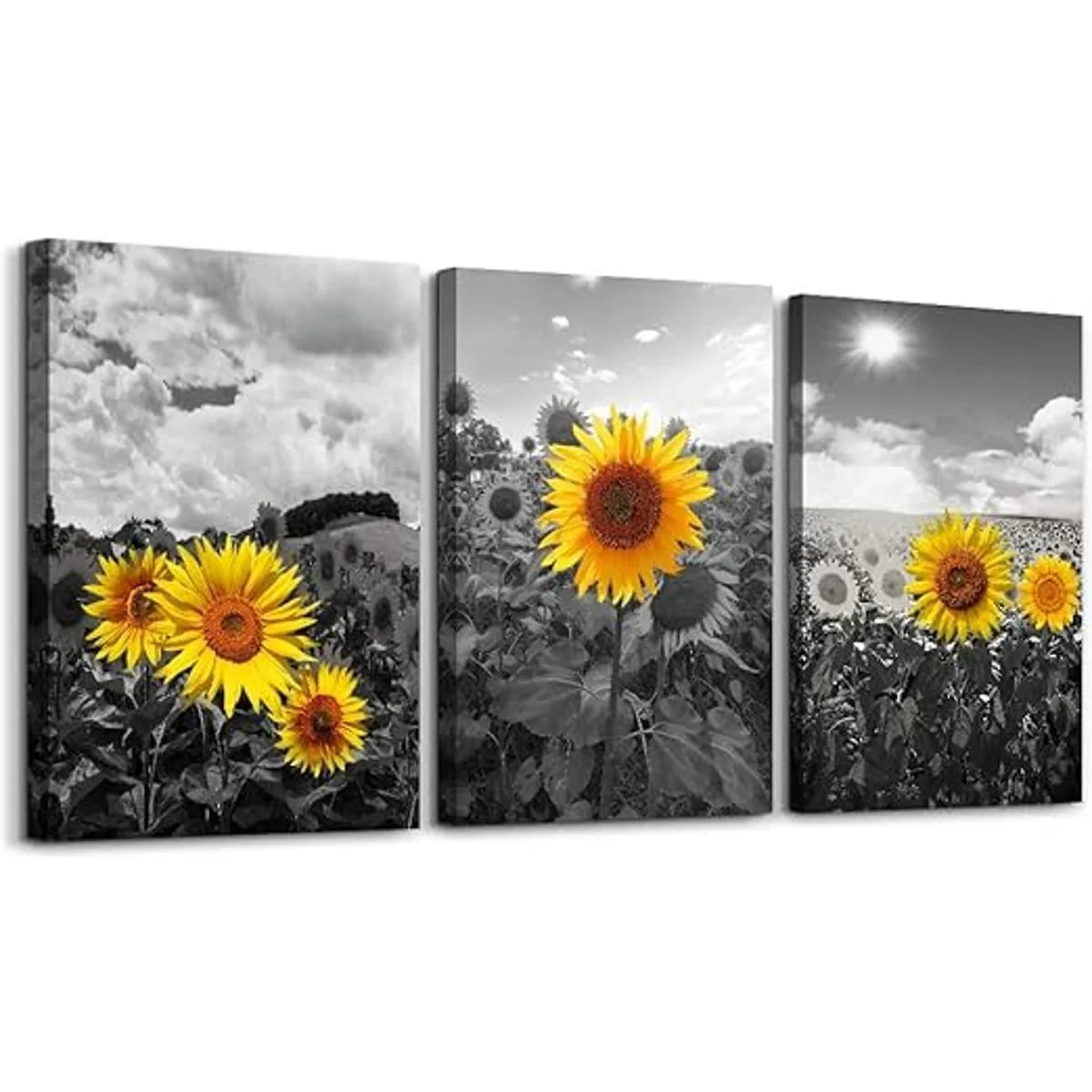 Cuadro de pared con flores de girasol en blanco y negro_1