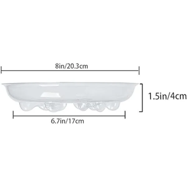 Idyllize Base de plástico transparente para plantas 5_3