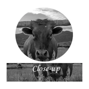 Kreative Arts Lienzo de animales en blanco y negro arte_5