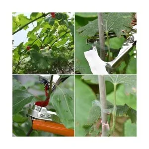 FUNTECK Máquina de atar plantas para uvas frambuesas_6
