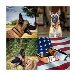 Diezel Pet Products Collar para perro con mango de_5