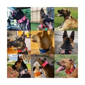 Diezel Pet Products Collar para perro con mango de_6