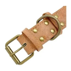 Berry Pet Collar de perro de cuero con puntas de 2