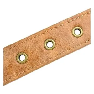Berry Pet Collar de perro de cuero con puntas de 2