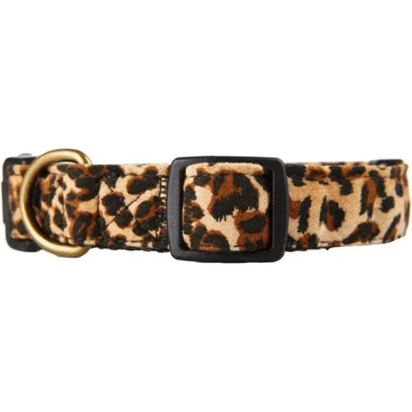 Petiry Collar de perro de tela flocada estampado de_4