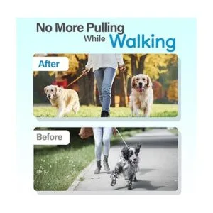 Supet Collar de pinza para perro collar ajustable para_2