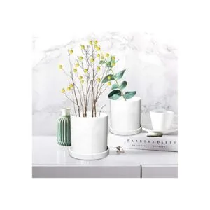 700 pompones surtidos de 1 pulgada para artes y