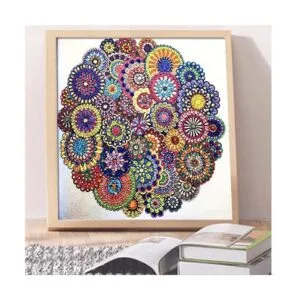 Hibah Pintura de diamantes de imitación de forma especial_3