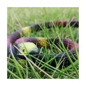 Lechay Serpientes de goma para mantener alejados a los_6