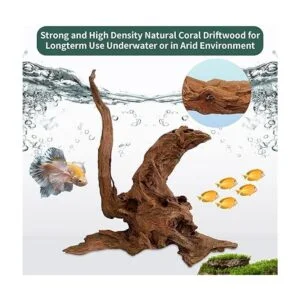 Driftwood para Acuario Reptile Juguete Driftwood ramas_4