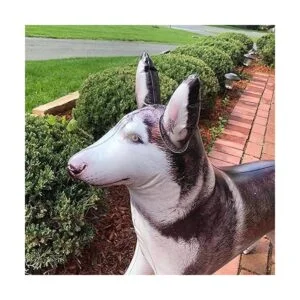 Jet Creations Paquete de 3 animales inflables para perros_3