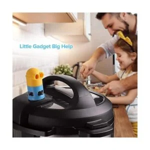 SiCheer Accesorios de válvula de liberación de presión