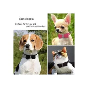 CHUKCHI Paquete de 2 collares de gato con diamantes