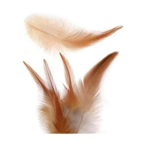 Mwoot Plumas de pollo naturales para manualidades 180
