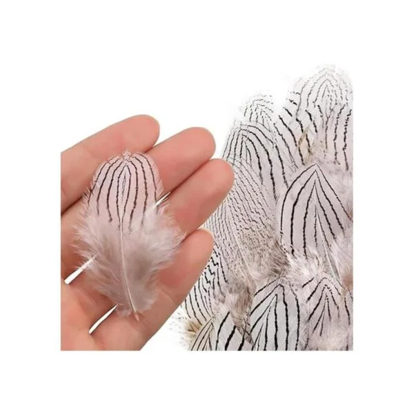 Mwoot Plumas de pollo naturales para manualidades 180