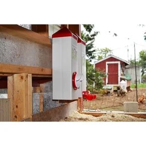 RentACoop Twin Cup Chicken Waterer and Feeder Set 10lbs2_5