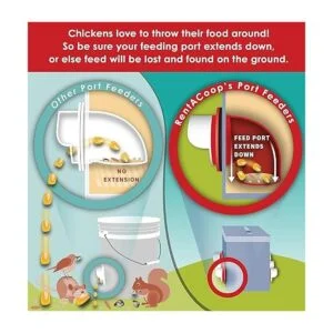 RentACoop Twin Cup Chicken Waterer and Feeder Set 10lbs2_4