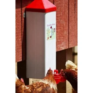 RentACoop Twin Cup Chicken Waterer and Feeder Set 10lbs2_2