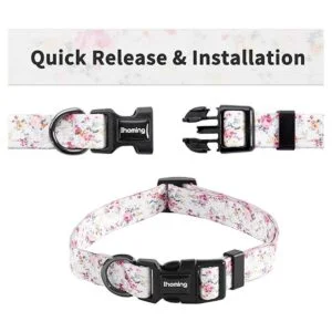 Ihoming Collar y correa para perro combinados en estilo