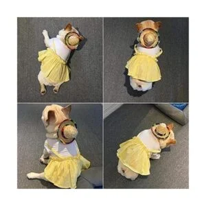 8 sombreros de fiesta mini sombreros mexicanos_5