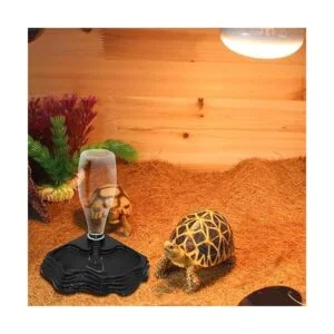 SLSON Alimentador de agua para reptiles dispensador de