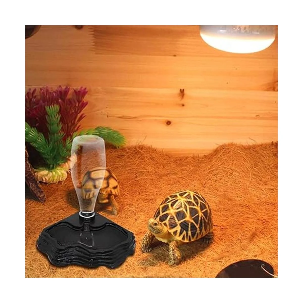 SLSON Alimentador de agua para reptiles dispensador de