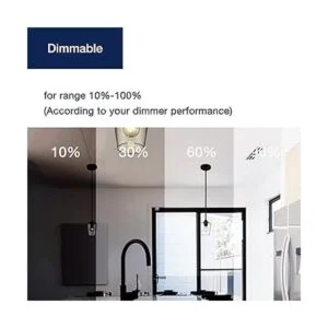 FLSNT Bombillas LED Edison de globo equivalente a 40 W