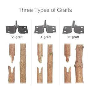 FUNTECK Kit de podadora de injerto 2 en 1 injerto en V