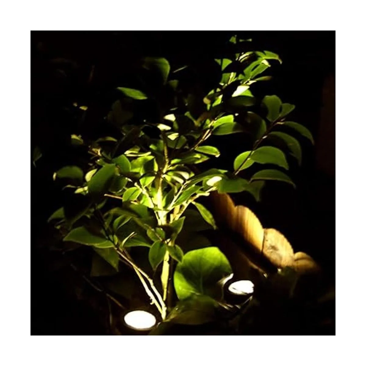 AVEKI Focos solares para estanque 12 luces LED solares