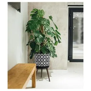 Maceta de 14 pulgadas con soporte maceta alta de mediados_6