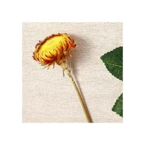 Ganchos de pared de tela para puerta de gabinete de acero_2