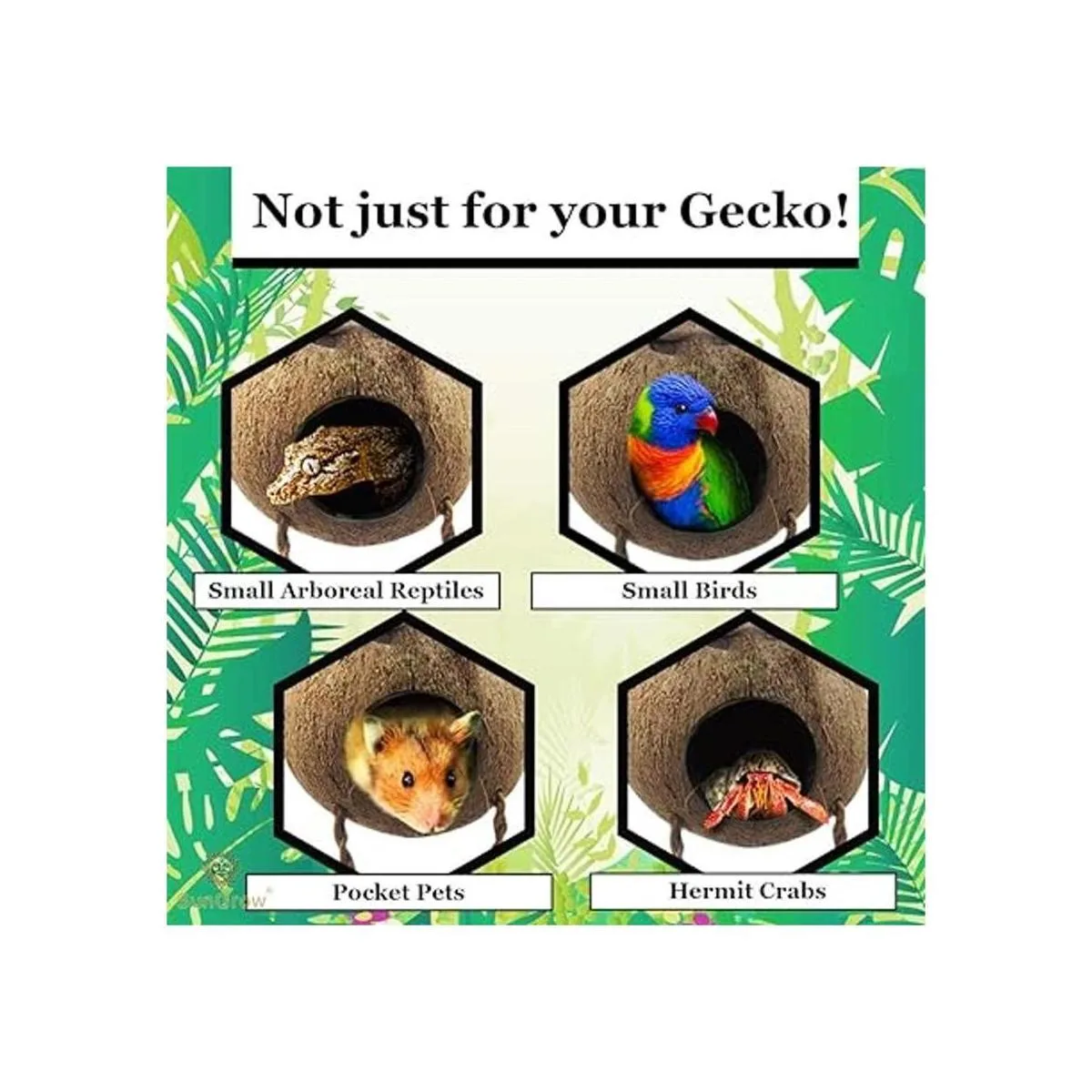 SunGrow Leopard Gecko Cabaña de cáscara de coco con