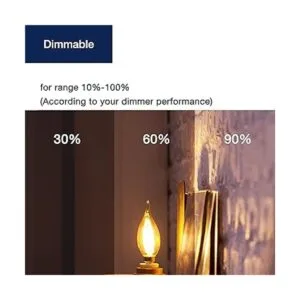 FLSNT CA11 Bombillas LED de candelabro E12 bombillas LED