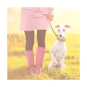 PetsHome Dog Leash Pet Leash Bling Rhinestones Premium