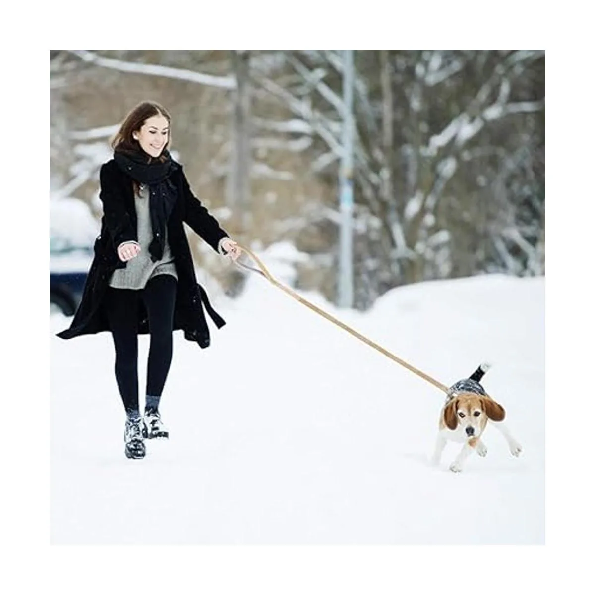 PetsHome Dog Leash Pet Leash Bling Rhinestones Premium