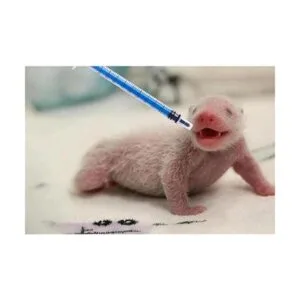 Paquete de 12 jeringas de plástico de 0.0 fl oz con_5