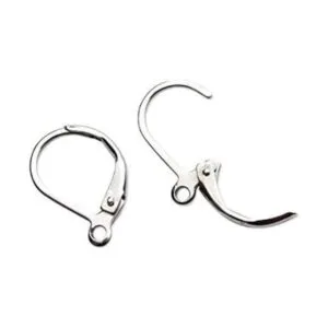 DNHCLL Pendientes de palanca de acero inoxidable 304 50