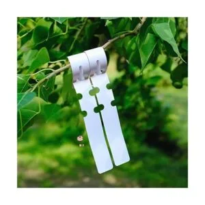 1000 etiquetas de identificación de árbol de plástico para