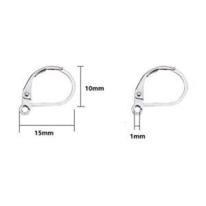 DNHCLL Pendientes de palanca de acero inoxidable 304 50