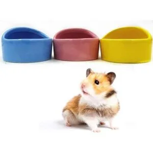Cuenco de cerámica para hámster lateral degradado con