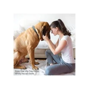 PETMAKER Juego de 2 cuencos colgantes de acero inoxidable_4