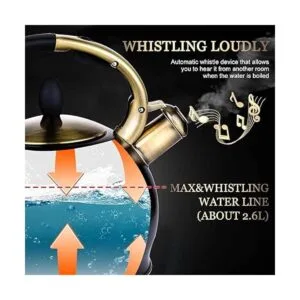 SUSTEAS Tetera silbante de acero inoxidable quirúrgico_3