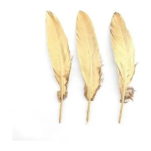 Juego de plumas naturales de ganso accesorios para ropa_2