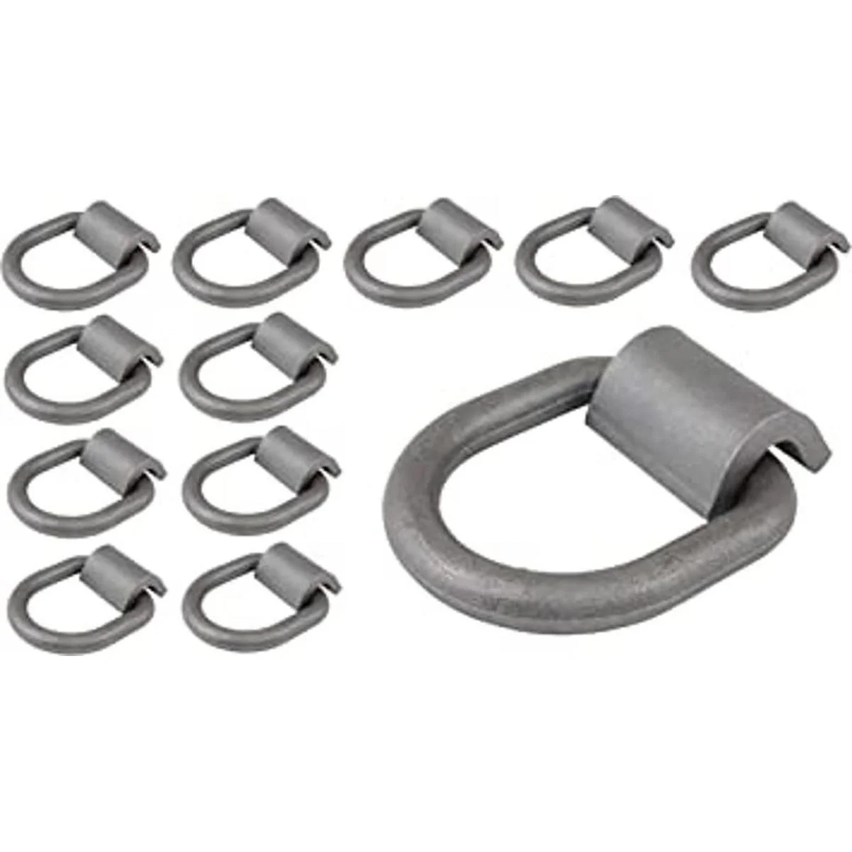 Mytee Products Paquete de 12 anillos en D forjados de 12_1