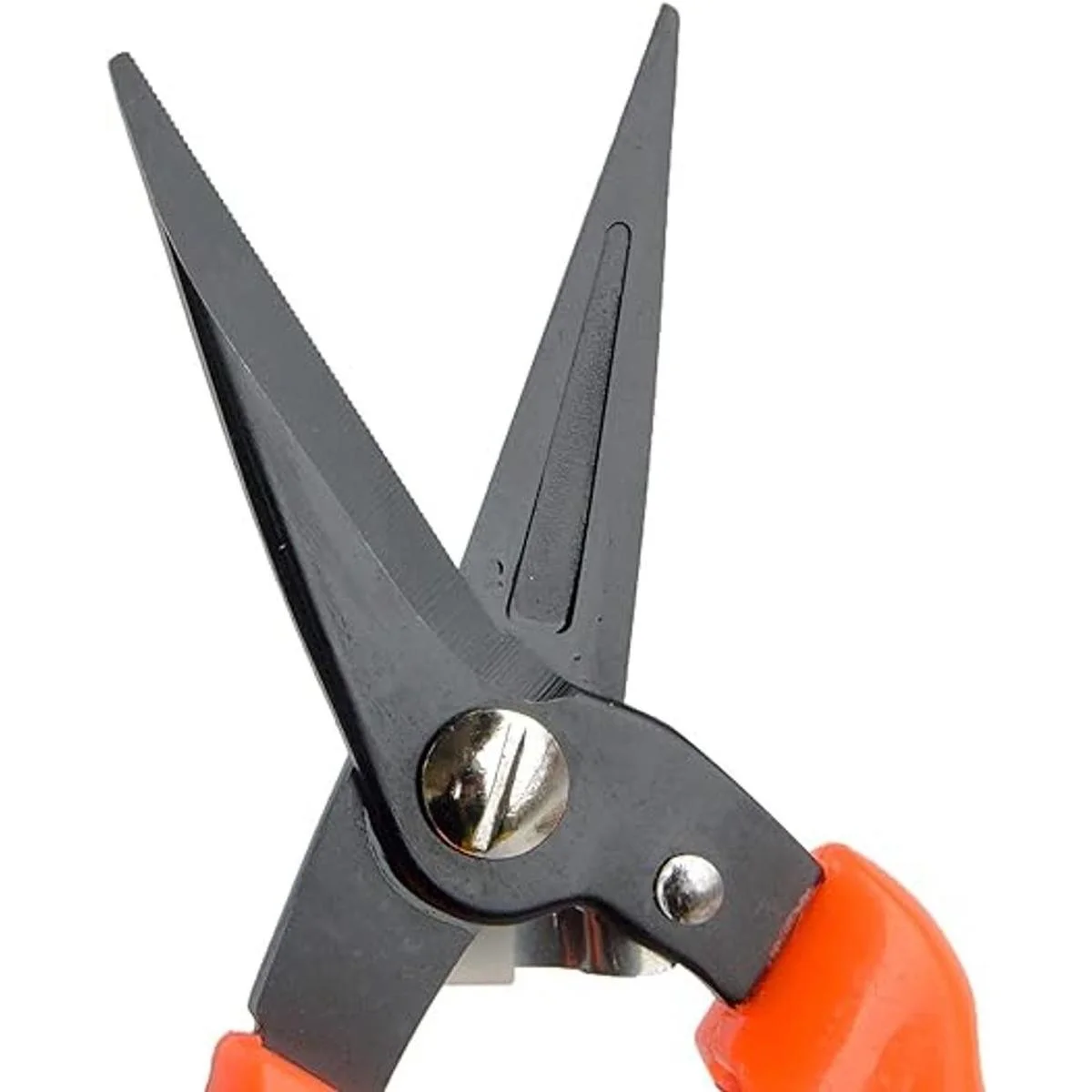 Tijeras cortaúñas para pezuñas de cabra para ovejas