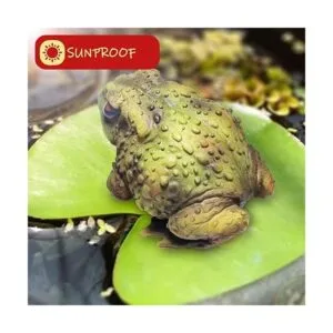 Sunthus Esculturas de sapo de rana estatuas de jardín_5