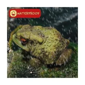 Sunthus Esculturas de sapo de rana estatuas de jardín_4