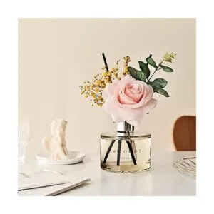 COCODOR juego de difusor de aceite con varillas de junco