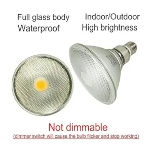 Reflector de vidrio PAR38 blanco cálido LED bombilla